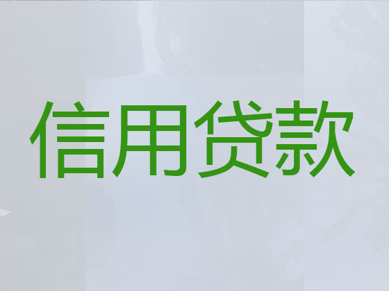 嘉兴贷款公司-银行信用贷款